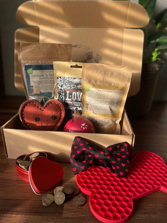 Dog’s Valentine’s Eco Friendly Gift Box
