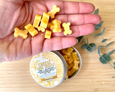 Cheese Mini Tasty Treats - SOFT & CHEWY