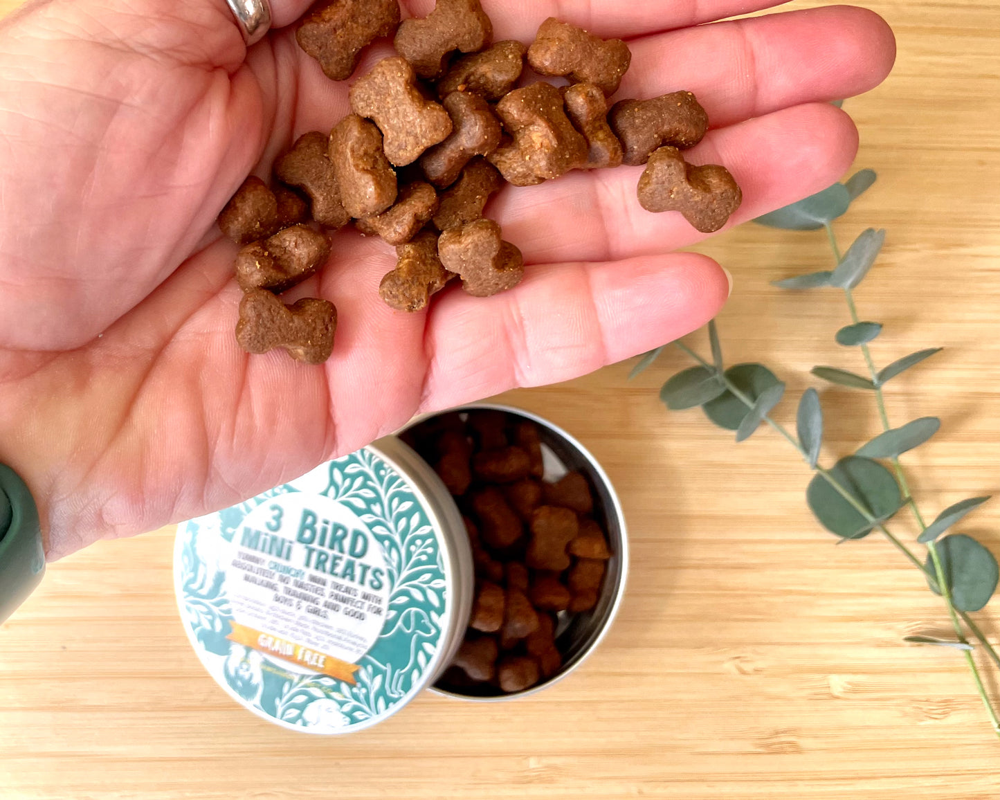 3 Bird Mini Tasty Treats - Small & Crunchy