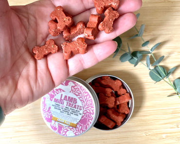 Lamb Mini Tasty Treats - SOFT & CHEWY