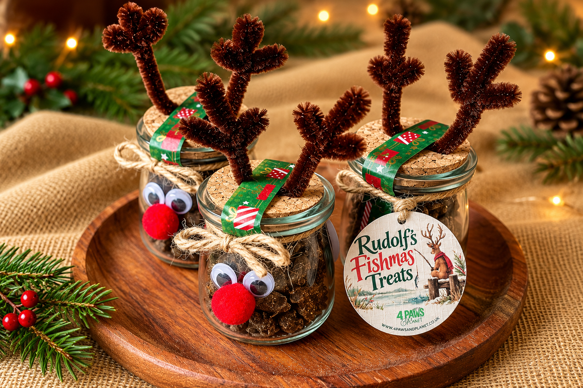 Rudolf’s Fishmas Treats | Christmas Fish Treats for Dogs