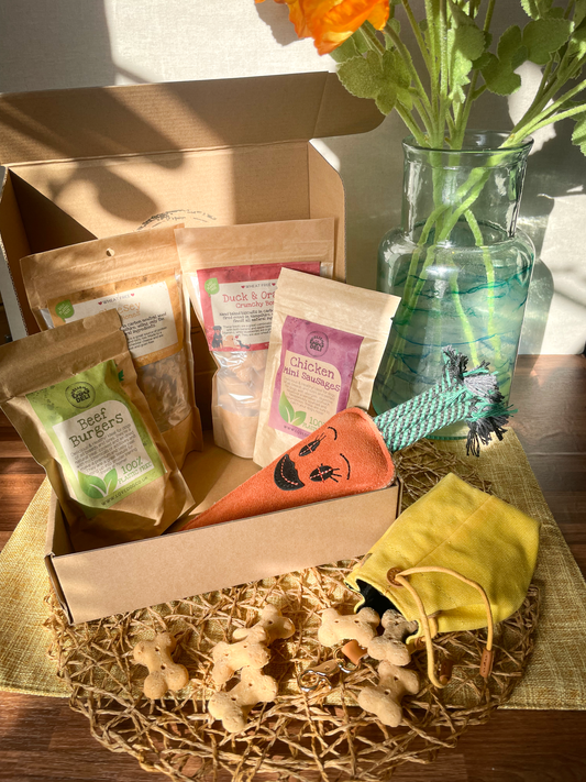 Full of the Joy of Spring Dog Box