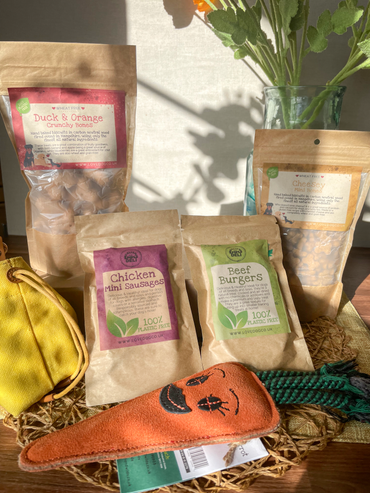 Full of the Joy of Spring Dog Box