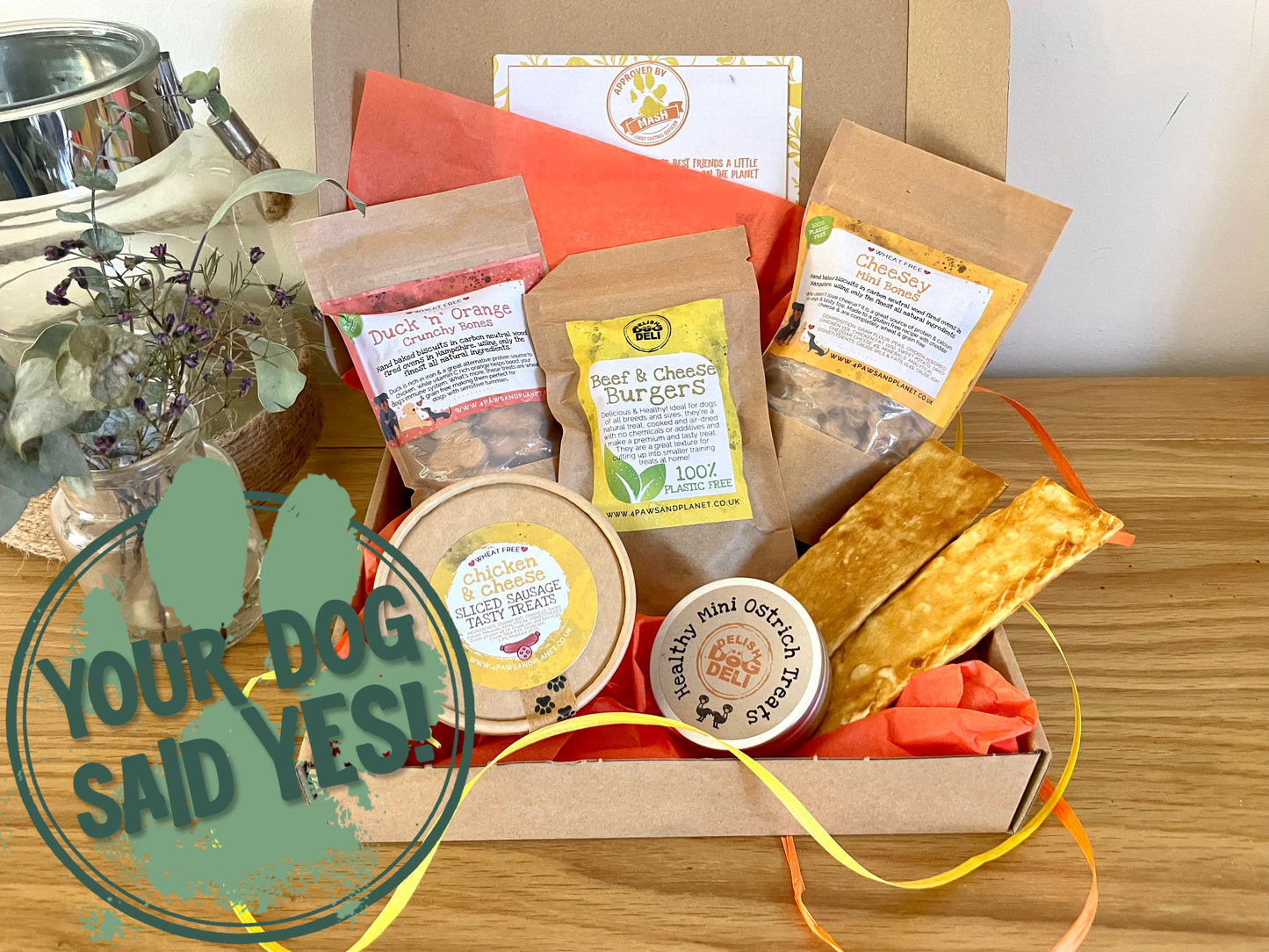 Spoil Me Dog Treat Box