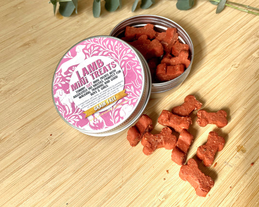 Lamb Mini Tasty Treats - SOFT & CHEWY