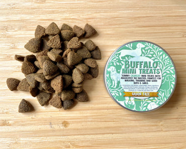 Mini Treat tin Refill - BUFFALO