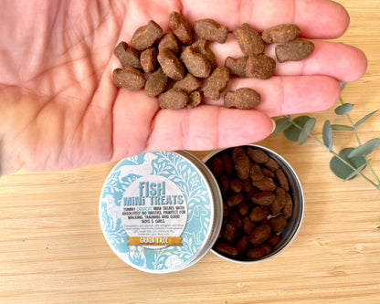 Mini Treat tin Refill - FISH